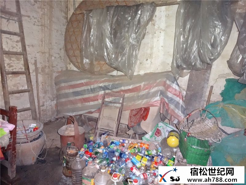 DSC02016.jpg