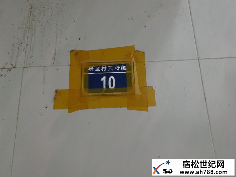 DSC02141.jpg