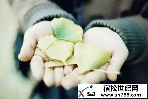 QQ截图20160501222015.jpg