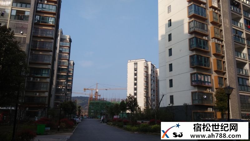 水岸国际6.jpg