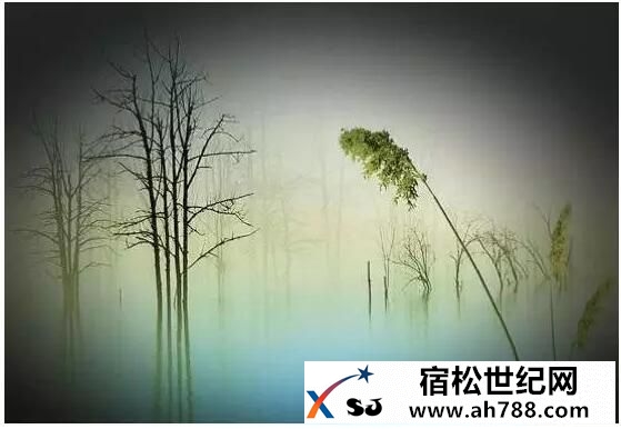 QQ截图20160503200547.jpg