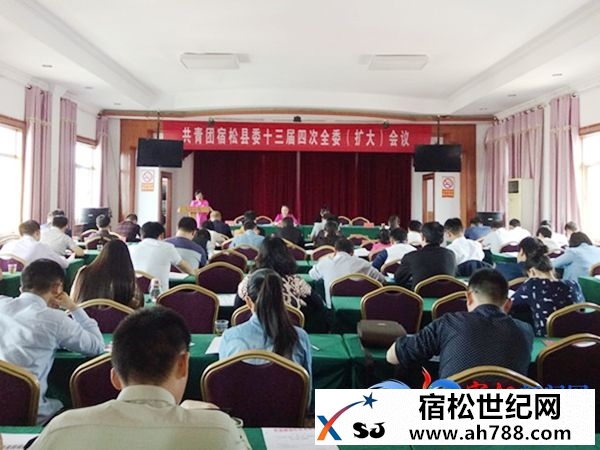共青团宿松县委十三届四次全委(扩大)会议召开.jpg