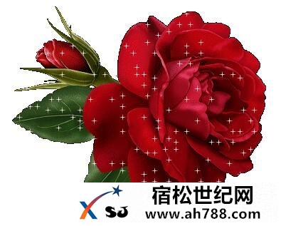 QQ截图20160508203618.jpg