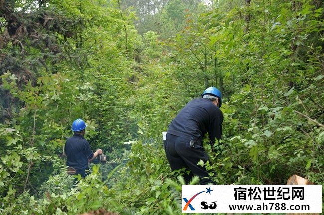 宿松供电为线路“扫障消缺”保电网安全2.jpg