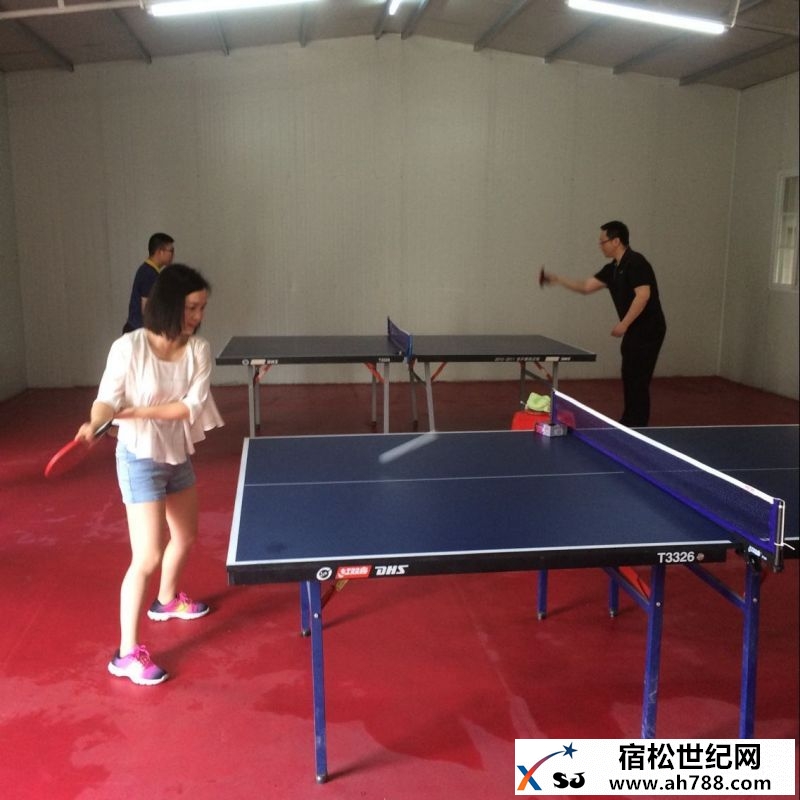 宿松乒乓球协会携手十二钗酒业送技术下乡 (6).jpg