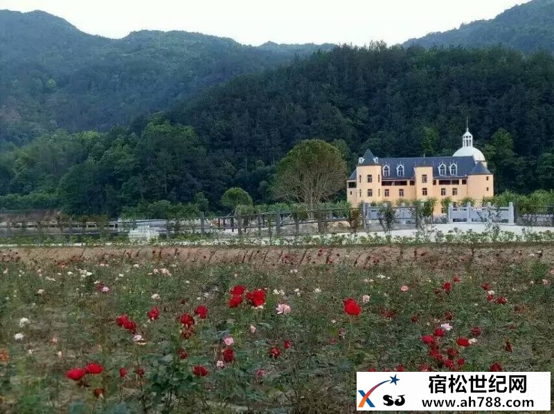 黄梅玫瑰谷 (6).jpg