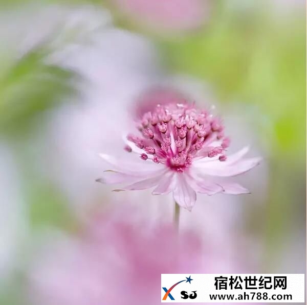 QQ截图20160517225644.jpg