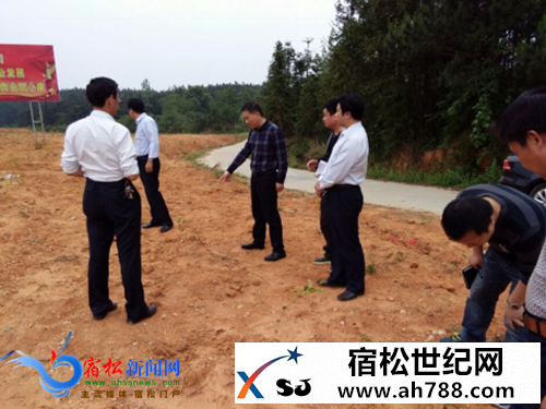 许晓华到凉亭镇夏家村实地指导扶贫工作.png