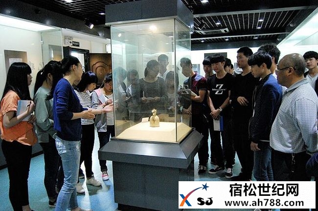 宿松中德职业技术学校学生参观县博物馆.jpg