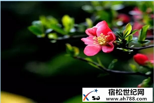 QQ截图20160523222317.jpg