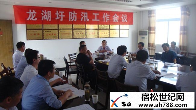 丁伯赞要求：龙湖圩防汛必须做到“四严防、四到位”.jpg