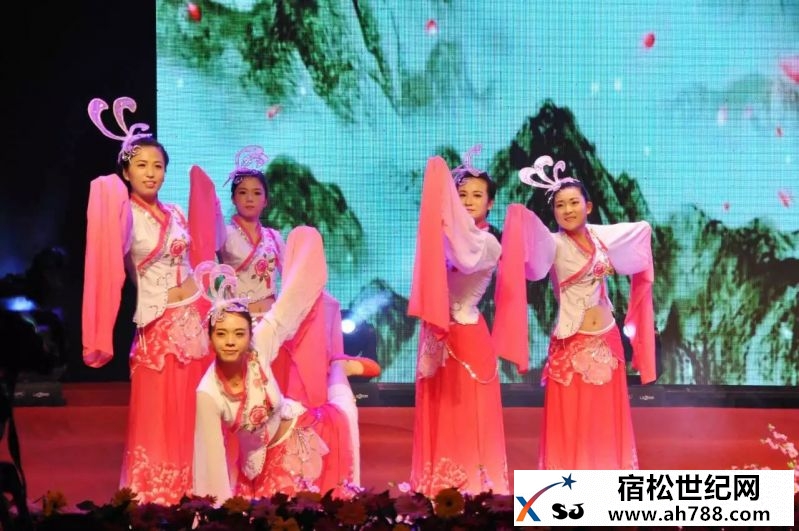 【中国诗歌之乡·宿松诗歌季系列活动开幕式于6月9日在县人民影剧院举行】县政协主席叶.jpeg