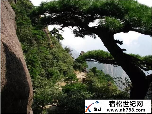 QQ截图20160611222512.jpg