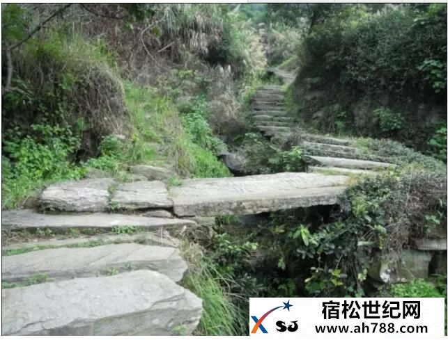 QQ截图20160611222721.jpg