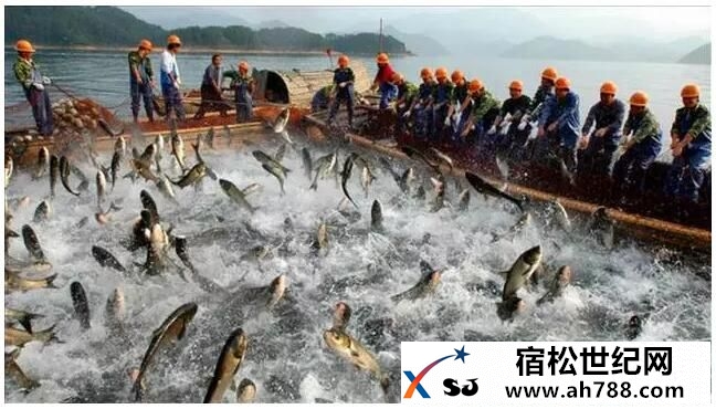 QQ截图20160611222839.jpg