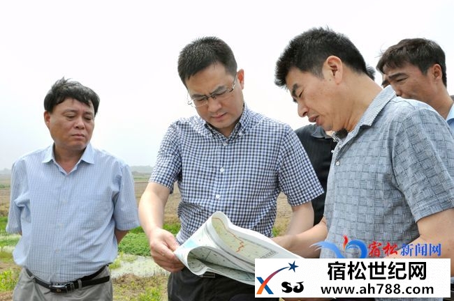 王赵春督查重点项目建设及防汛工作37.jpg