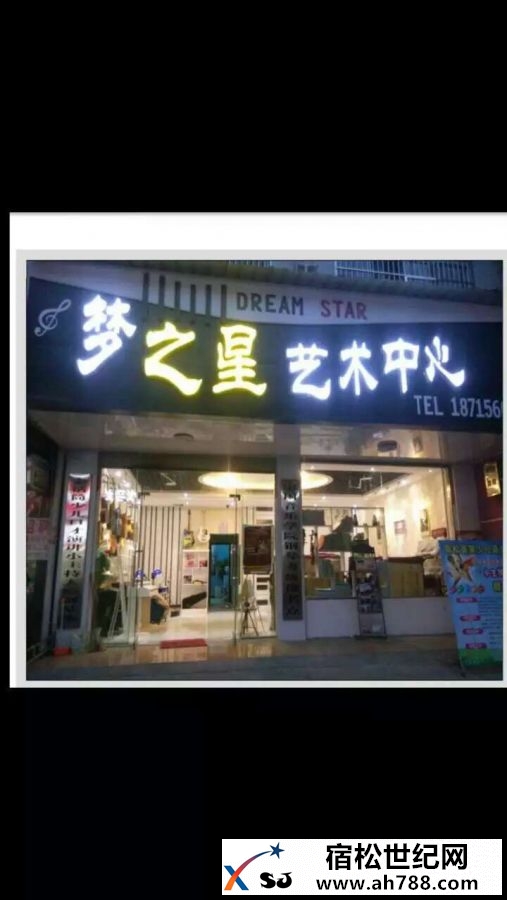 宿松梦之星艺术中心 (1).jpg