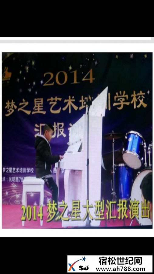 宿松梦之星艺术中心 (2).jpg