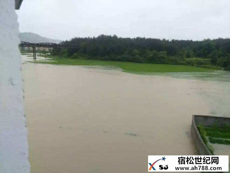 宿松新世纪论坛_20160619_091023.jpg