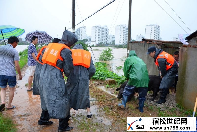加高加固河堤坝1.JPG