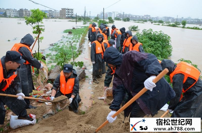 加高加固河堤坝2.JPG