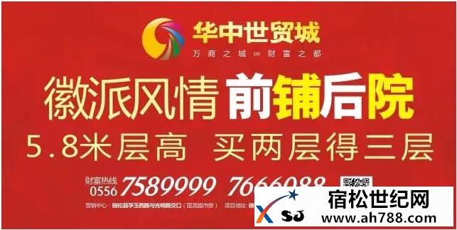宿松华中世贸城全程赞助：合肥市宿松商会一届三次会员大会暨第五次理事会议圆满落幕.jpg
