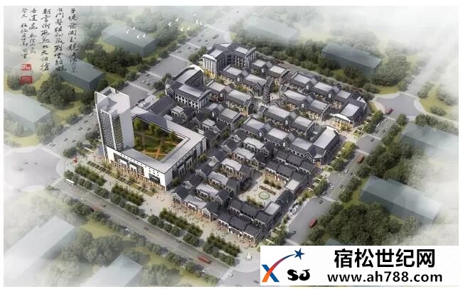 宿松华中世贸城全程赞助：合肥市宿松商会一届三次会员大会暨第五次理事会议圆满落幕 (9).jpg