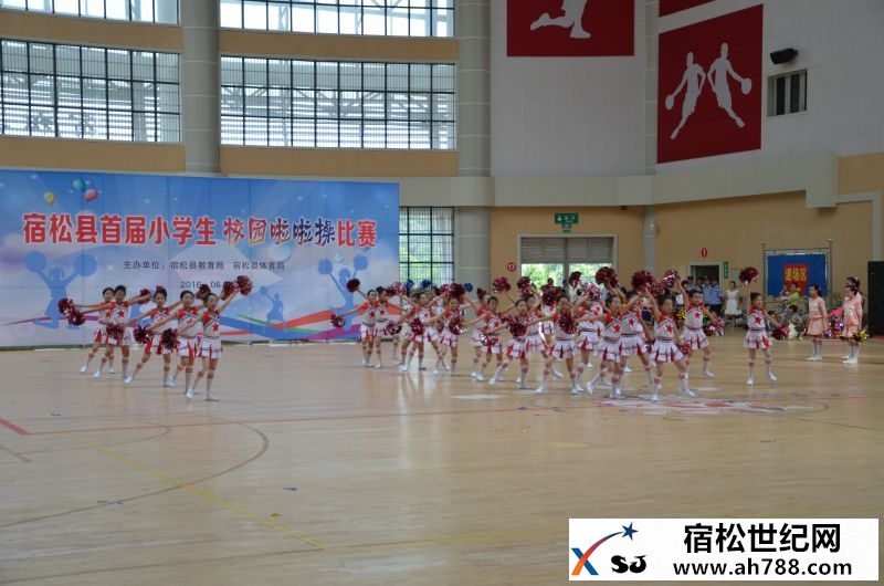 DSC_1243.JPG