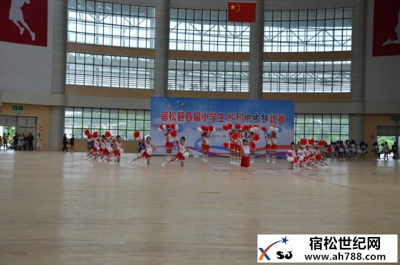 DSC_1285.JPG
