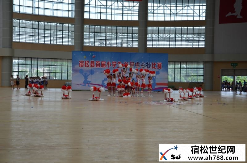 DSC_1291.JPG