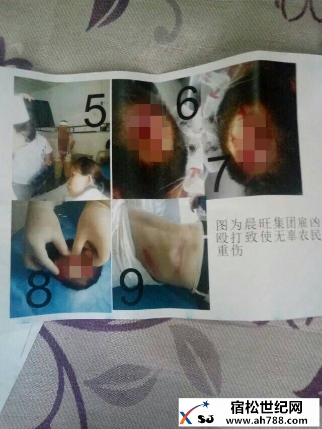2z2TgLjhiwdP_副本.jpg