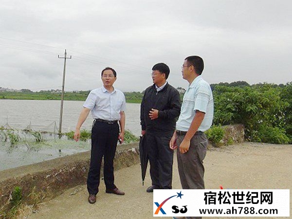 张永西到到龙湖圩检查指导圩堤防汛工作.jpg