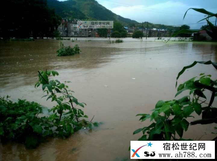 QQ图片20160703133905.jpg