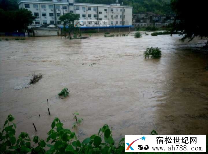 QQ图片20160703133909.jpg