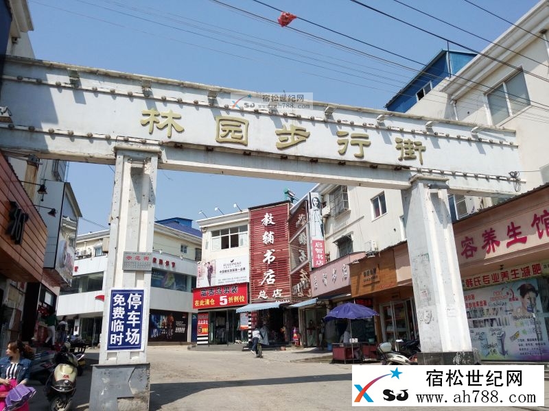 步行街1.jpg