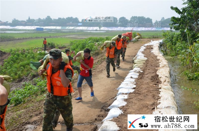 宿松抗洪一线：亲身经历与武警8690部队一线抗洪抢险三小时06.jpg