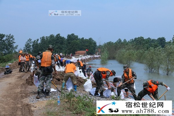 第12集团军某部近600名官兵驰援安庆市宿松县受灾地区31.JPG