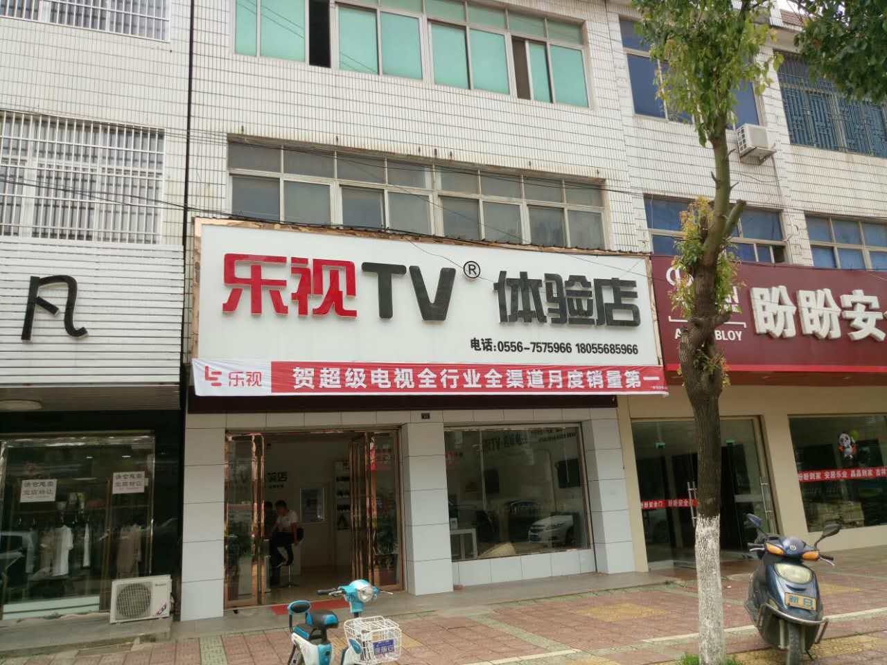 69101651.jpg