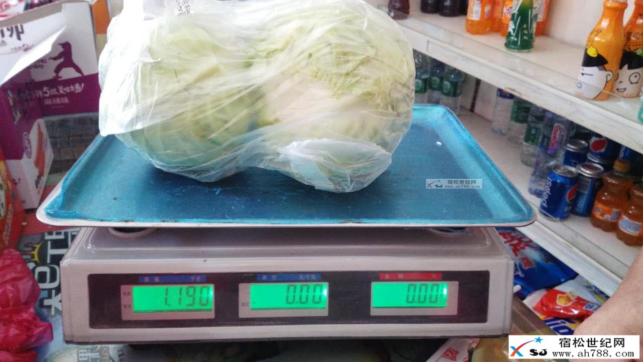 242608535.jpg