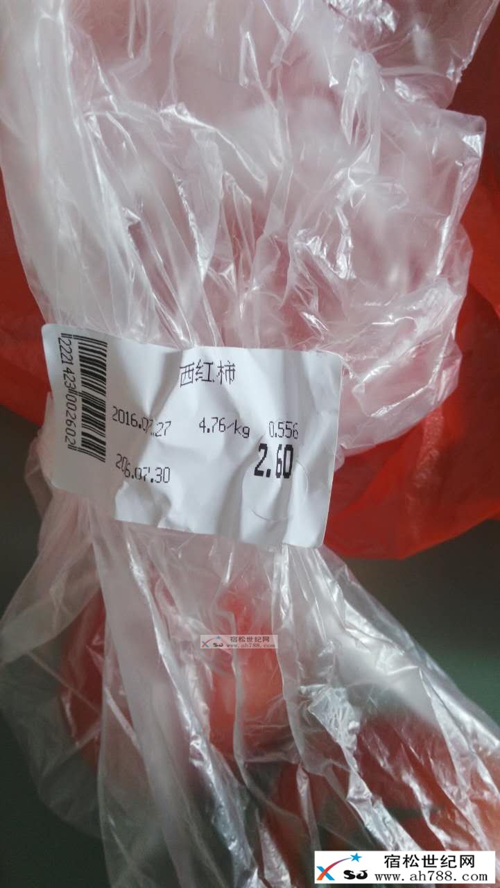 485854940.jpg