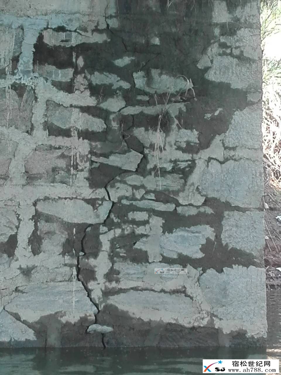 11681625282892593.jpg