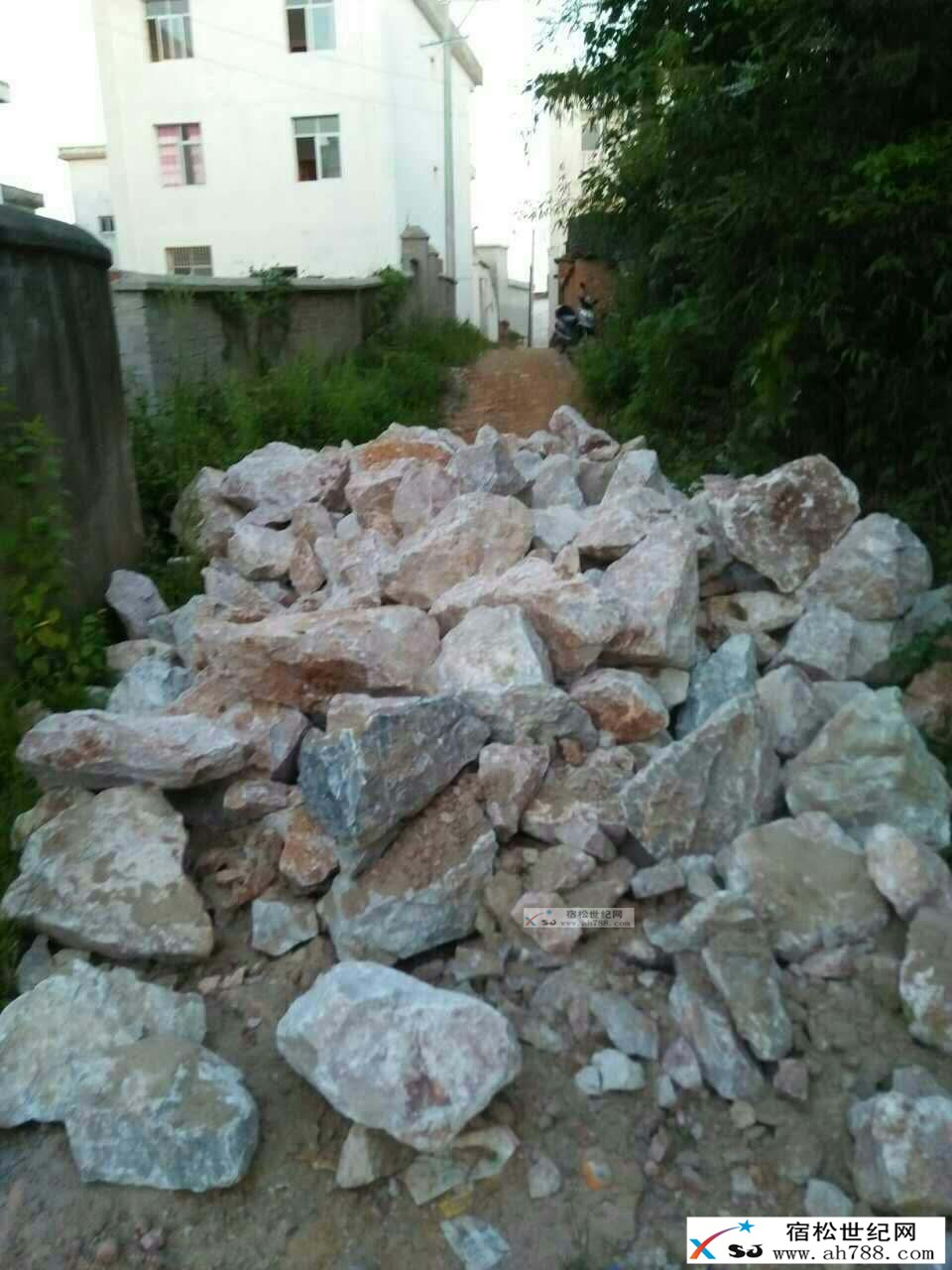 945441934.jpg