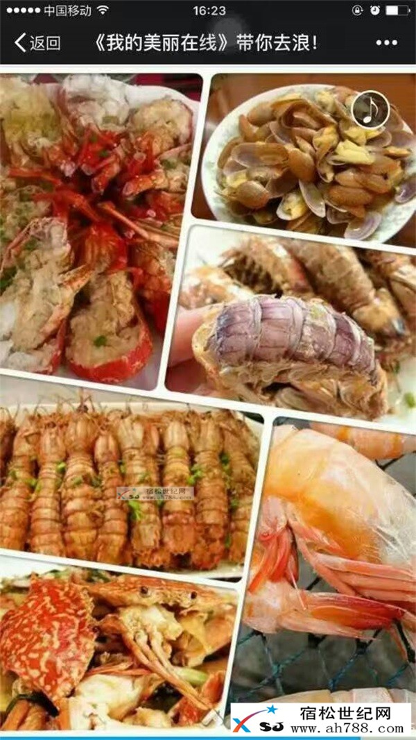 我的美丽在线带你去浪