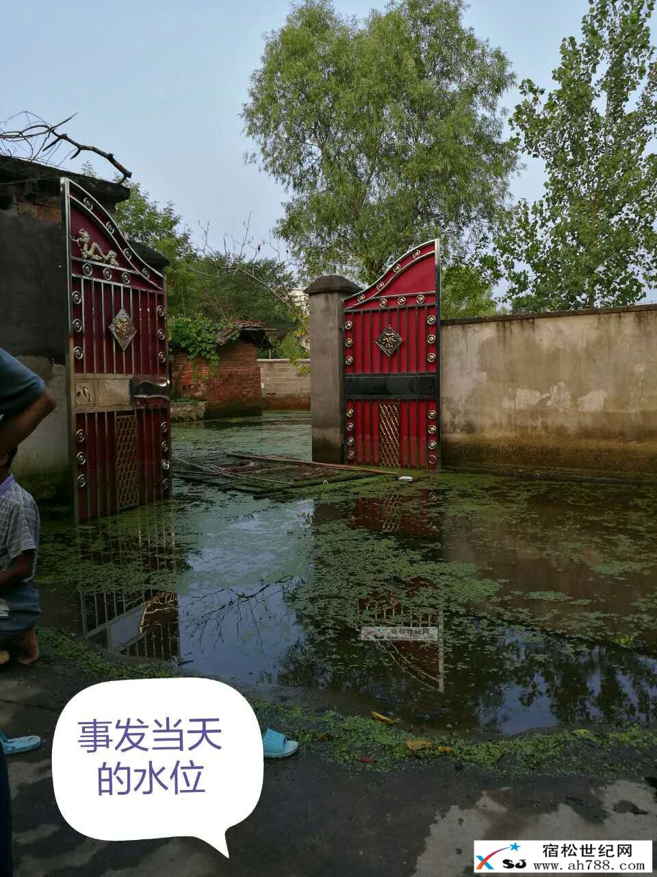 mmexport1472736279517.jpg
