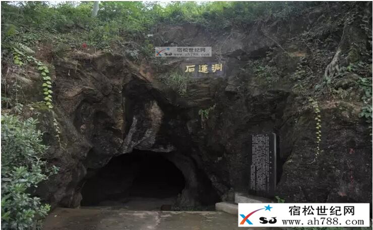 QQ截图20160903101929.jpg