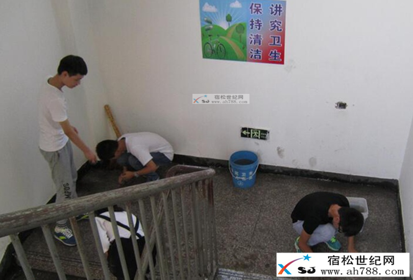 C369.tmp.jpg