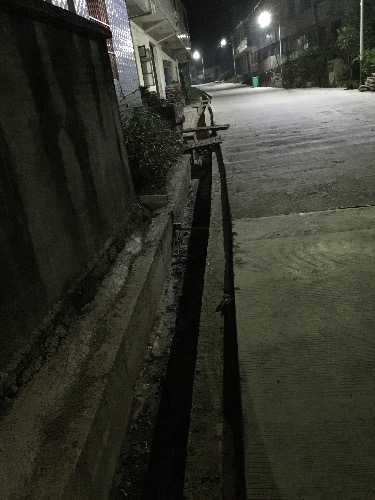 image.jpg