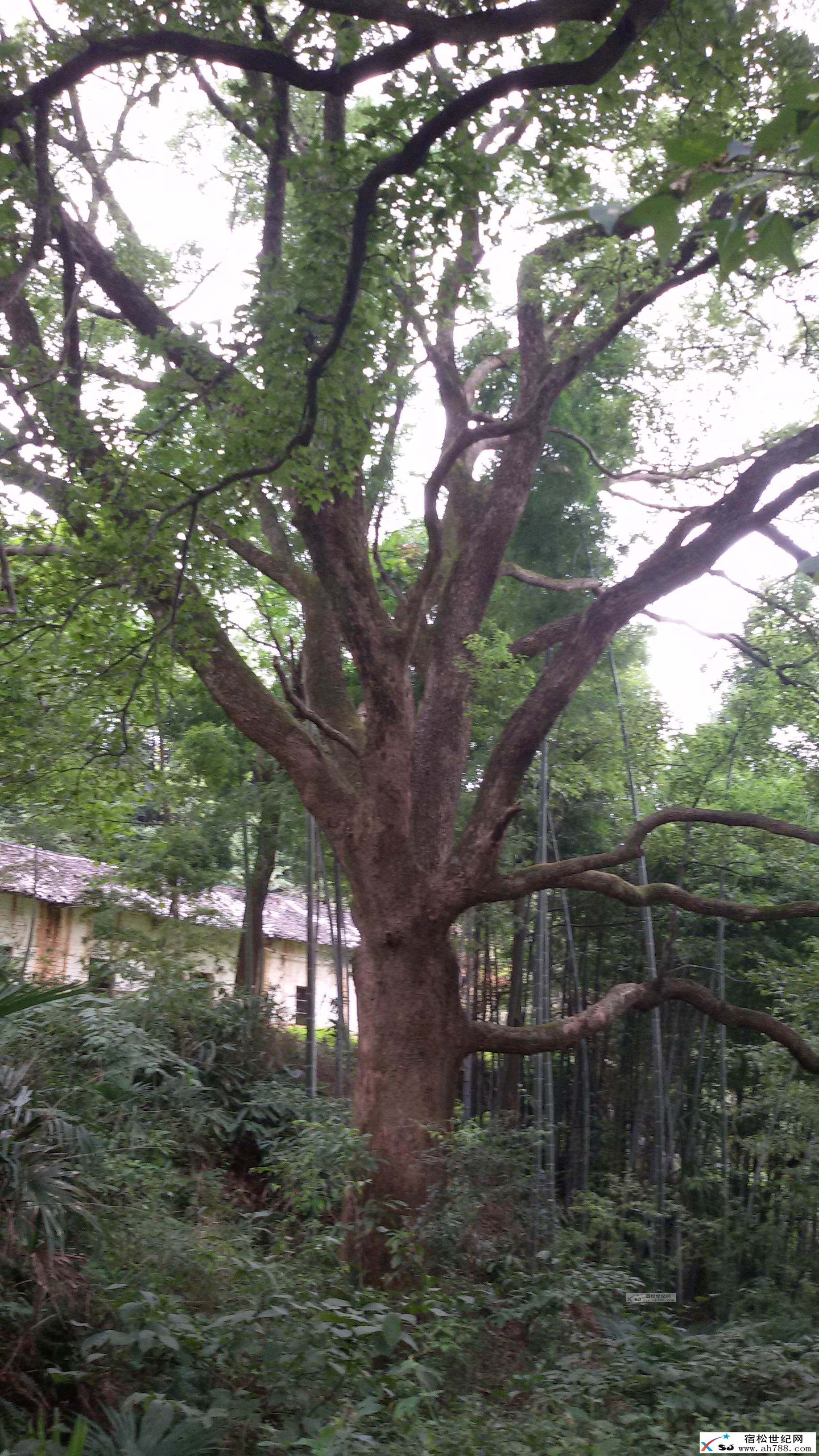 20160827_112205.jpg