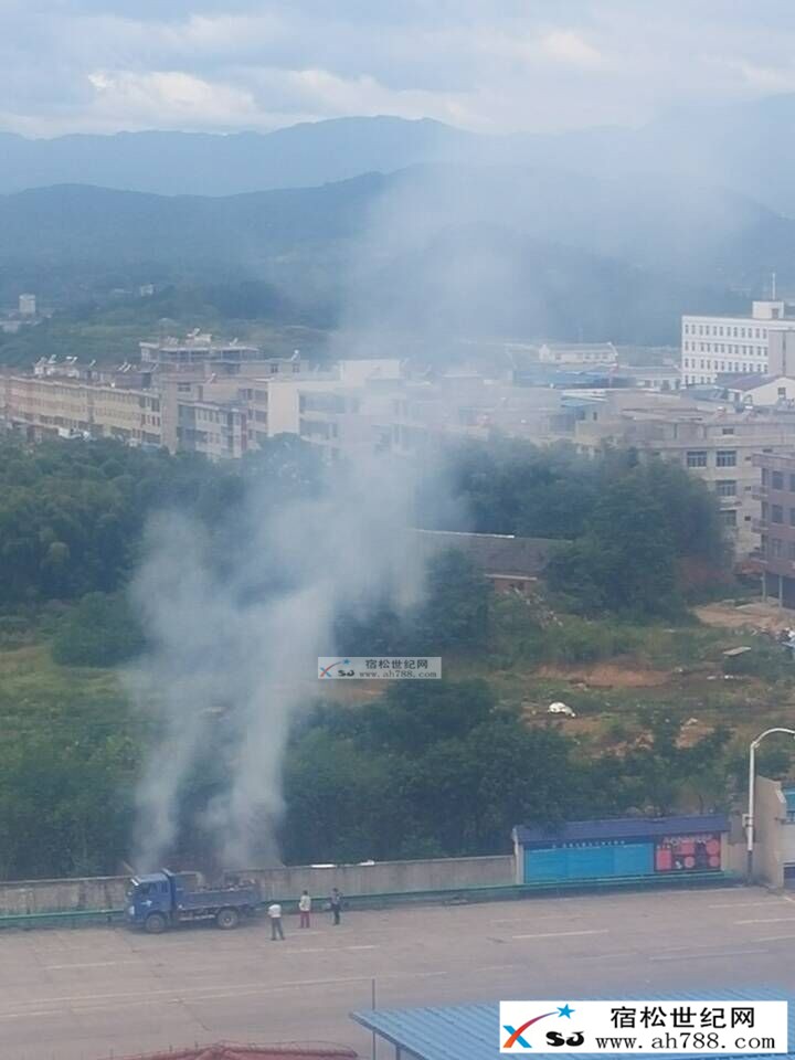 宿松收费站随意焚烧垃圾3.jpg