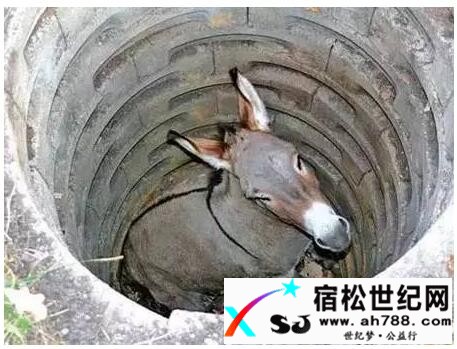QQ截图20161015002122.jpg